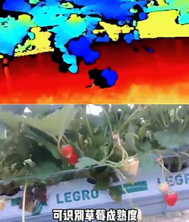 成熟度分析技術